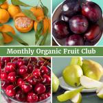 Fruitfully Organic Fruit and Snacks Monthly Club (3-12 Months)