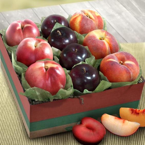 AB1028, Summer Fruit Collection Gift Box