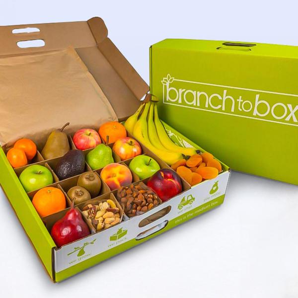 BTB Medium Box BTB1002, BTB Medium Box